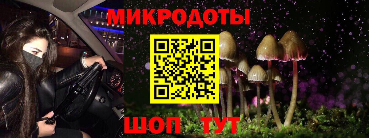 Псилоцибиновые грибы прущие грибы Камышлов