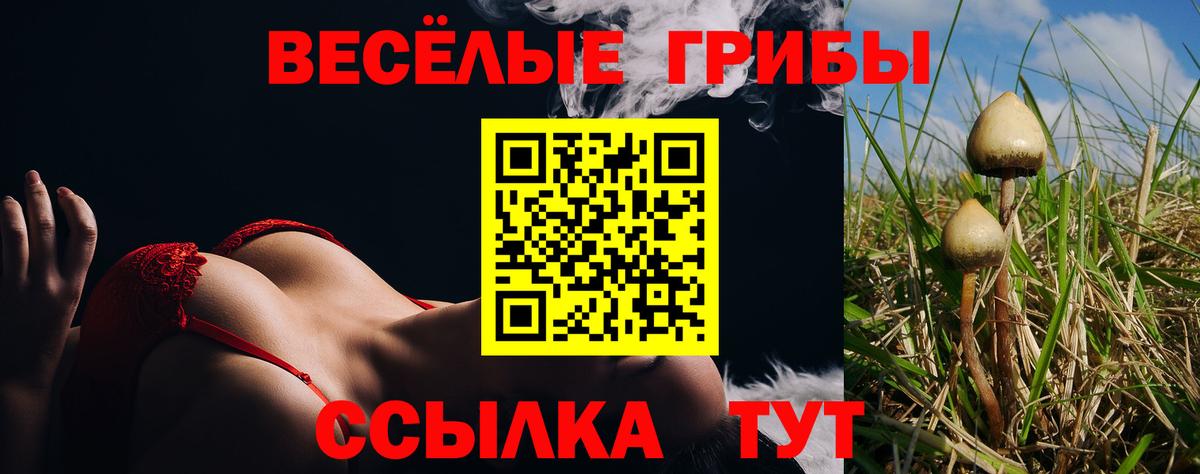 Галлюциногенные грибы Cubensis  магазин продажи наркотиков  Вход с VPN  Камышлов  Псилоцибиновые грибы мицелий 